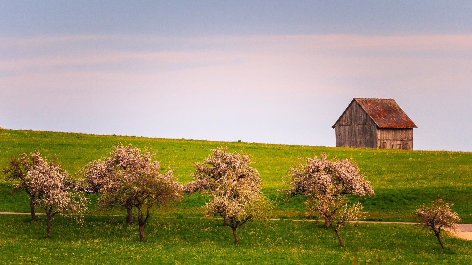 Landschaft im Allgäu